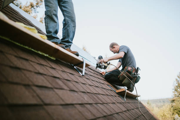 Best Roof Gutter Cleaning  in Morningside, MD
